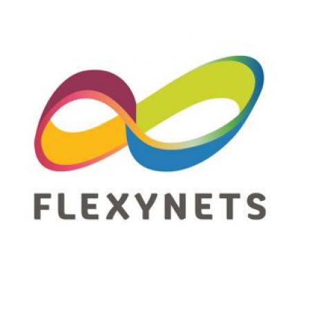 flexynets2.jpg